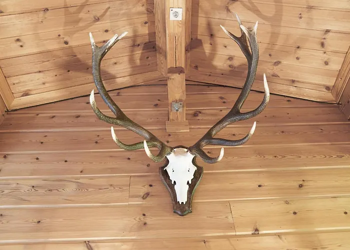 Semesterbostad De 5 Platanen Hulshorst